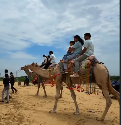 Camel safari expedition with riders traversing the dunes of Thar Desert